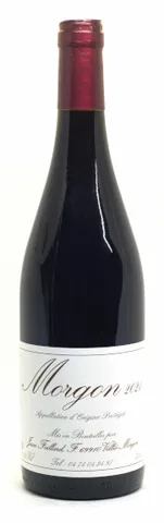 Bottiglia di Morgon Classique 2023, Foillard Jean