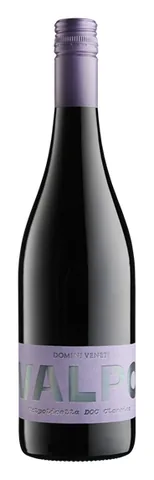 Bottiglia di Valpolicella Classico 2024, Domini Veneti