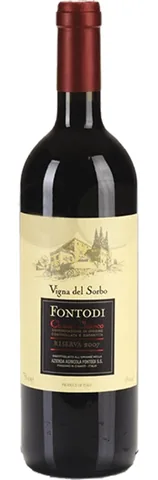Bottiglia di Chianti Classico Gran Selezione Vigna Del Sorbo 2020, Fontodi